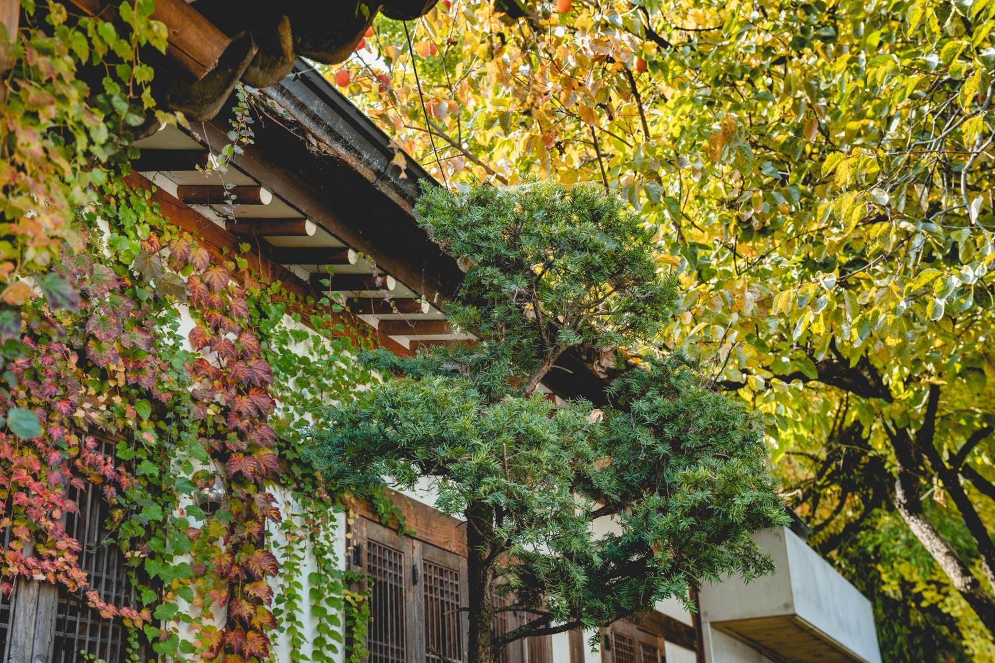 Hotelarrive Jeonju Sihwayeonpung 외부 사진